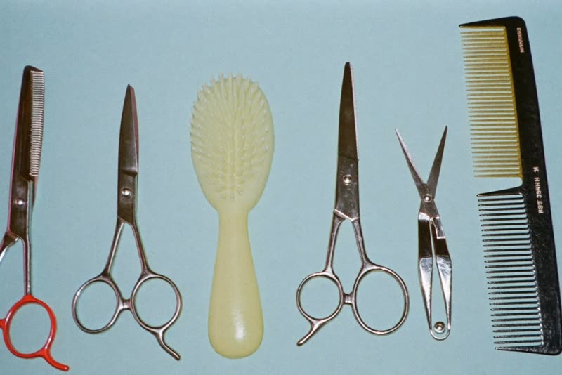 Grooming scissors, brush, comb and clippers laid out in a row